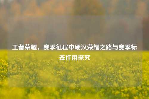 王者荣耀,赛季征程中硬汉荣耀之路与赛季标签作用探究