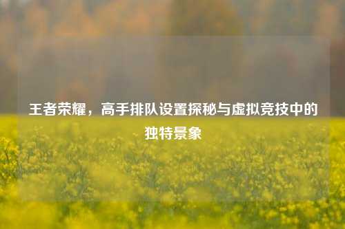 王者荣耀,高手排队设置探秘与虚拟竞技中的独特景象
