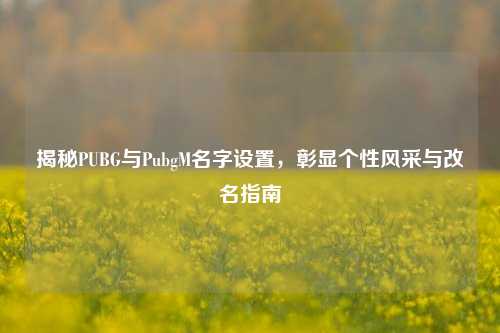 揭秘PUBG与PubgM名字设置,彰显个性风采与改名指南