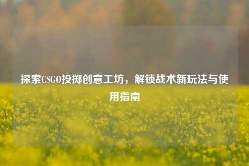 探索CSGO投掷创意工坊,解锁战术新玩法与使用指南