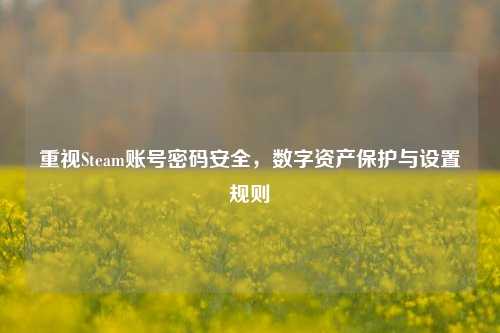 重视Steam账号密码安全,数字资产保护与设置规则