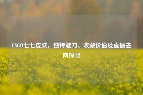 CSGO七七皮肤,独特魅力、收藏价值及直播去向探寻