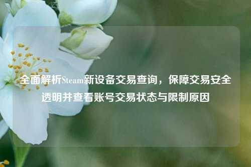 全面解析Steam新设备交易查询,保障交易安全透明并查看账号交易状态与限制原因