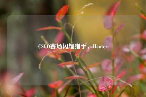 CSGO赛场闪耀猎手,Hanter