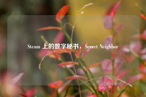 Steam 上的数字秘书,Secret Neighbor