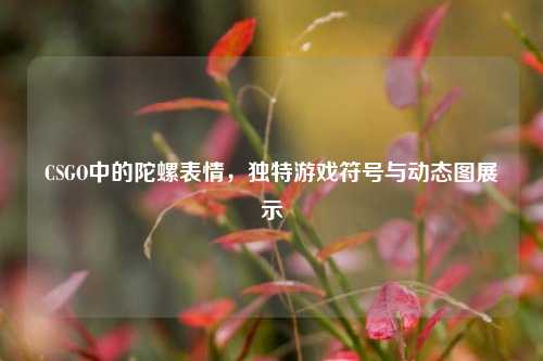 CSGO中的陀螺表情,独特游戏符号与动态图展示