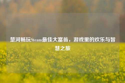 楚河畅玩Steam更佳大富翁,游戏里的欢乐与智慧之旅
