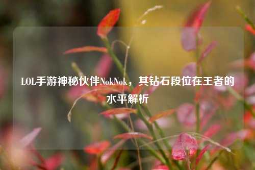 LOL手游神秘伙伴NokNok,其钻石段位在王者的水平解析