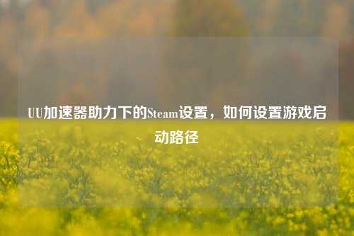 UU加速器助力下的Steam设置,如何设置游戏启动路径
