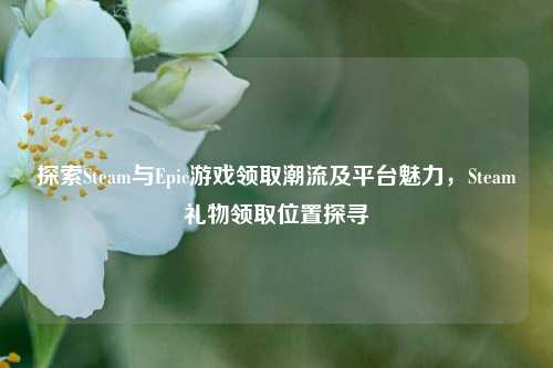 探索Steam与Epic游戏领取潮流及平台魅力,Steam礼物领取位置探寻