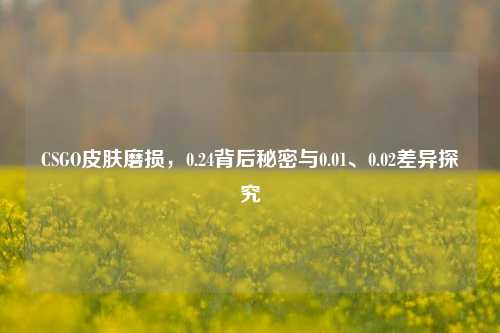 CSGO皮肤磨损,0.24背后秘密与0.01、0.02差异探究