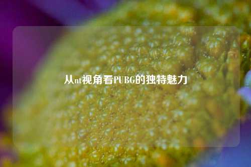 从nt视角看PUBG的独特魅力