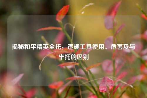 揭秘和平精英全托,违规工具使用、危害及与半托的区别