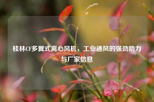 桂林CF多翼式离心风机,工业通风的强劲助力与厂家信息