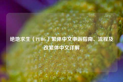 绝地求生(PUBG)繁体中文申诉指南、流程及改繁体中文详解
